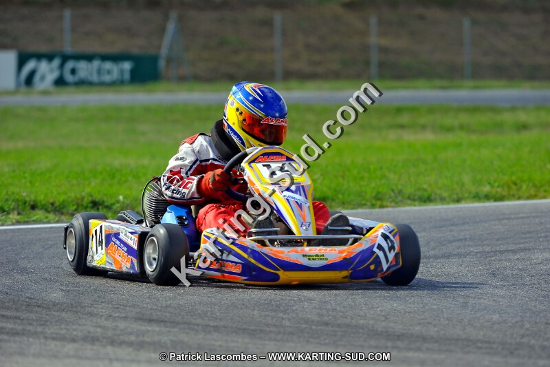 DSC_ (782).jpg